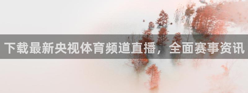 下载最新央视体育频道直播，全面赛事资讯