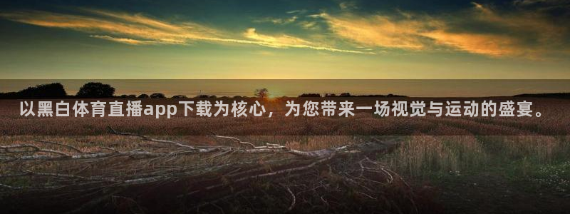 以黑白体育直播app下载为核心，为您带来一场视觉与运动的盛宴。