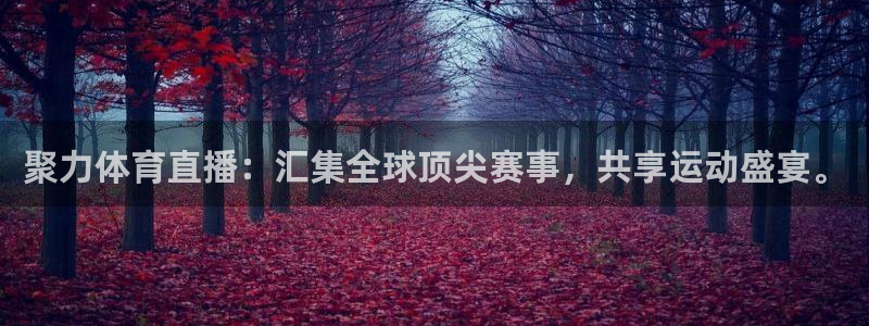 聚力体育直播：汇集全球顶尖赛事，共享运动盛宴。