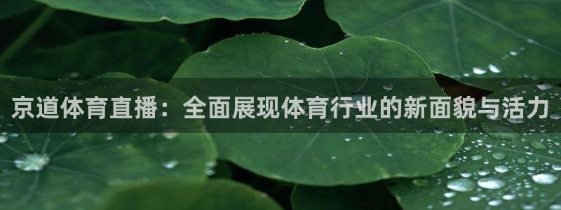 京道体育直播：全面展现体育行业的新面貌与活力