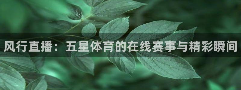 风行直播：五星体育的在线赛事与精彩瞬间