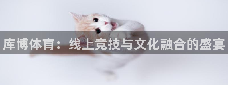 库博体育：线上竞技与文化融合的盛宴