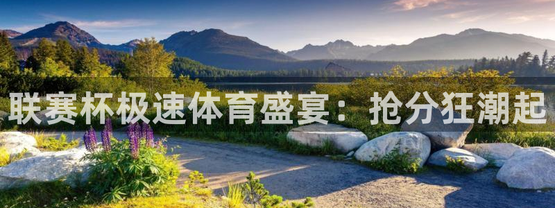 联赛杯极速体育盛宴：抢分狂潮起