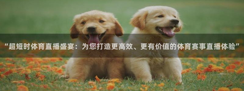 “超短时体育直播盛宴：为您打造更高效、更有价值的体育赛事直播体验”